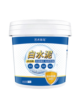 白水泥高强度速干防水墙面瓷砖勾缝填补堵漏家用地面修补白色涂料