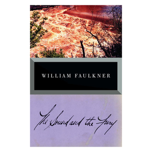 喧哗与骚动 英文原版 The Sound and the Fury 威廉福克纳 诺奖得主作品 意识流文学经典 平装 搭八月之光 押沙龙押沙龙我弥留之际