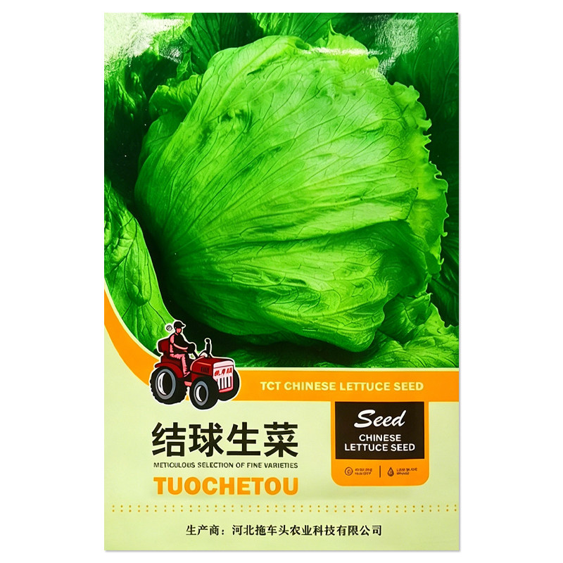 结球生菜种子蔬菜种子