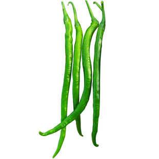 特长杭椒辣椒种子香辣三号剁椒种籽超辣高产菜农大田四季蔬菜种子