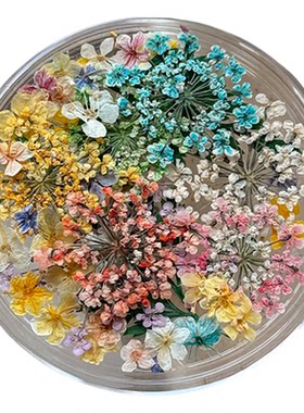 美甲干花秘境油画小碎花指甲饰品