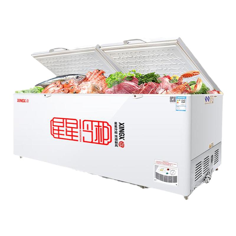 星星冰柜518升商用大容量冷冻柜718升冷藏冷冻保鲜柜茶叶急冻冷柜