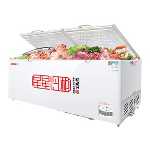 星星冰柜518升商用大容量冷冻柜718升冷藏冷冻保鲜柜茶叶急冻冷柜