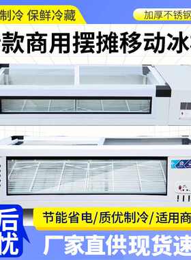 冷藏展示柜商用可移动小型冰箱冷冻柜三轮车摆摊冰柜小吃炸串台式