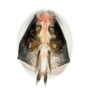 现杀花鲢鱼头 胖头鱼鳙鱼头开背净膛去腮去鳞 净重1.6斤-4.8斤/只