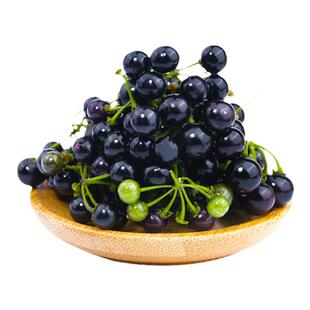 野生龙葵种子止痒草种籽苦葵天茄子小燕悠黑水果悠悠农村野果种子