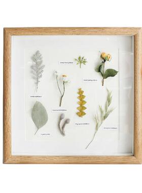 文艺植物手作标本挂画创意礼品