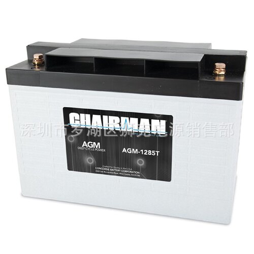 CHAIRMAN蓄电池AGM12100T深循环AGM电池12V100AH房车AGV小车
