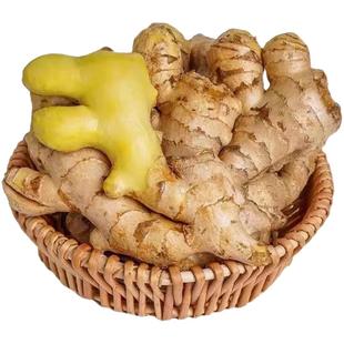 2025正宗云南小黄姜老姜生姜新鲜土姜现挖鲜姜包邮月子姜农家自种