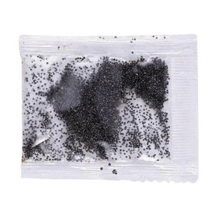 重瓣太阳花种子花种籽子室内室外观花卉植物花籽四季播种开花易活