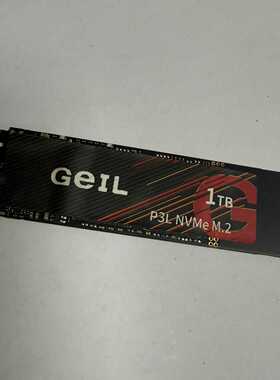 出一个金邦GeIL P3L 1TB NVMe M.2固态硬盘