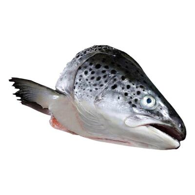 三文鱼头冰鲜鲜切3只装