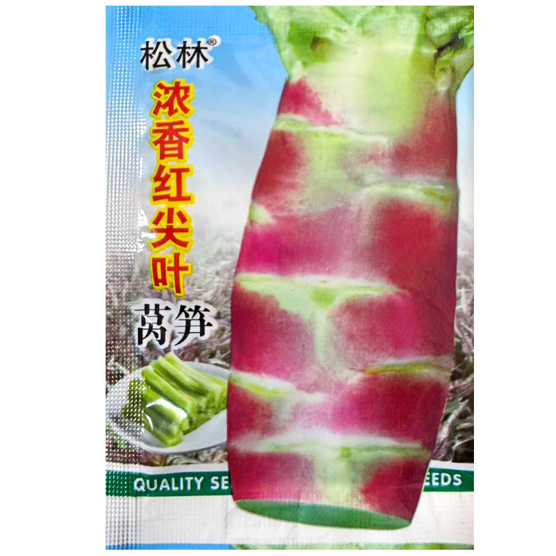 浓香红尖叶莴笋种子紫红皮青肉莴苣春秋冬季阳台农家疏蔬菜种籽孑