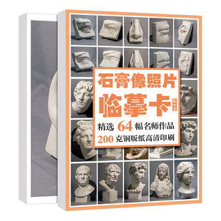 石膏像照片临摹卡 素描五官头像肖像卡片高清精微创意画单体书籍结构图国美初级画册本基础书入门图片教材教学美术几何体静物练习