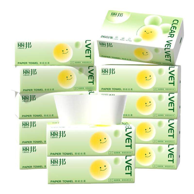 丽邦抽纸300张小包家用实惠装