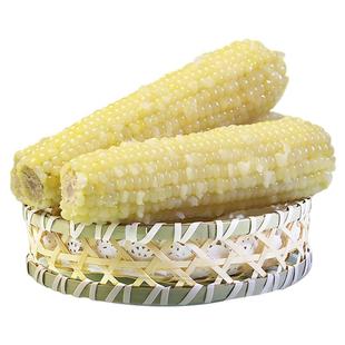 天勤粒粒净25年新采玉米香糯白玉米6/8/10条装玉米糯玉米有机玉米