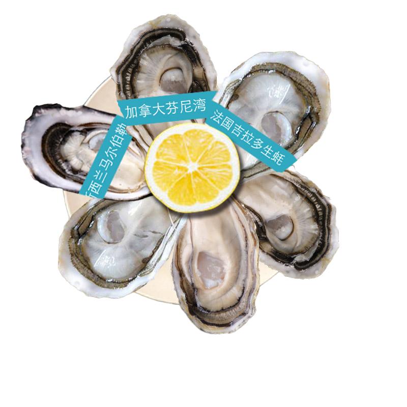 法国生蚝Oysterfeast/蠔门盛宴