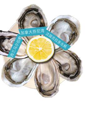 法国生蚝Oysterfeast/蠔门盛宴