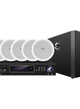 先科5.1同轴家用嵌入式套装音箱