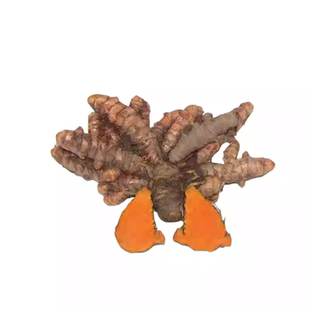 四川野生姜黄新鲜小黄姜红姜现挖药用黄姜产后调节月子咖喱姜包邮