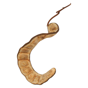 天然榼藤大豆荚过江龙种子平安豆手工标本豆荚娃娃diy原材新货