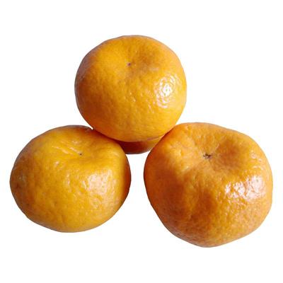 新鲜椪柑碰柑橘正宗湖北恩施巴东雷家坪芦柑现摘橘子新鲜水果10斤