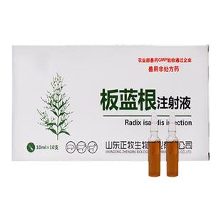 千方动保兽用板蓝根注射用液针剂猪牛羊清热解毒肺炎退烧正品兽药
