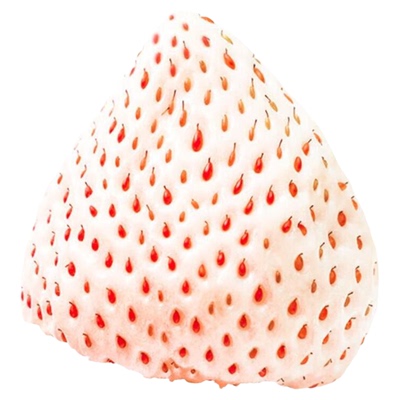 【超级稀有】淡雪白草莓礼盒装