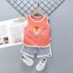 X0315 -Little Fox
