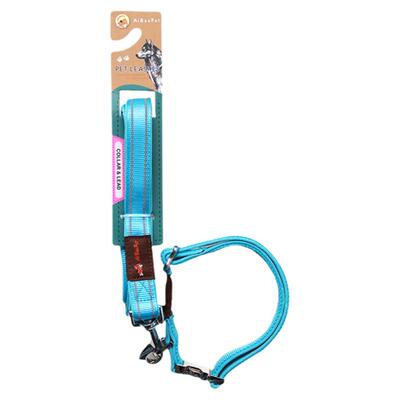 可调节项圈边牧柯毛不勒牵引绳