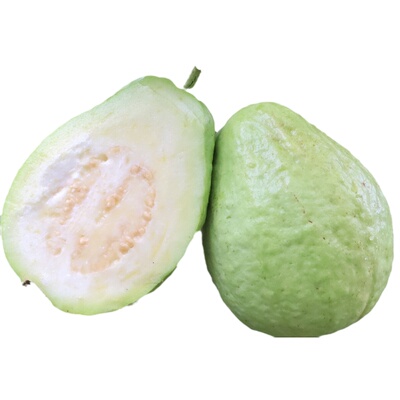 现摘新鲜番石榴白心芭乐水果清脆