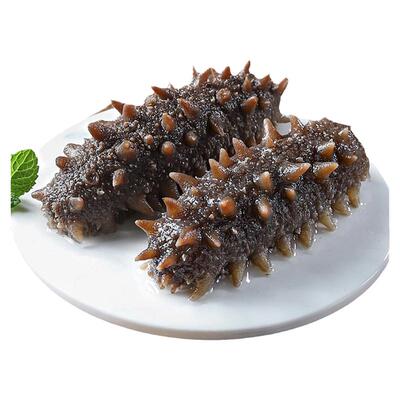 上成堂大连鲜食即食海参新鲜刺参独立包装礼盒