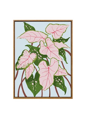 小众彩叶芋diy数字油画装饰画