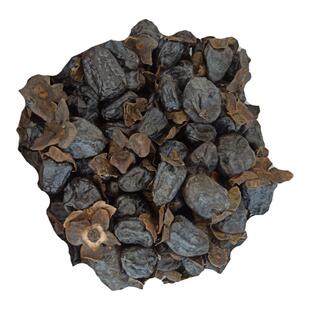 怀旧零食云南高山无核黑枣小柿子君迁子乌枣软枣微甜糯香可直接吃