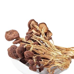 新季茶树菇古田农产干货茶树菇不开伞茶新菇500g新货菌菇包邮无硫