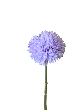 仿真花蒲公英单支球菊乒乓菊摆设