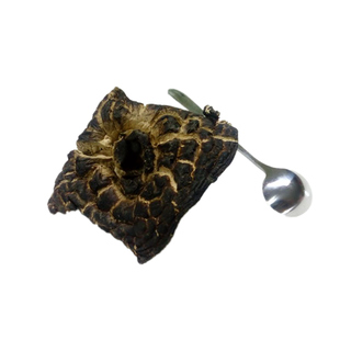 野生黑虎掌菌 煲汤香味无比正品牛肝菌煲汤50g云南楚雄野生菌包邮