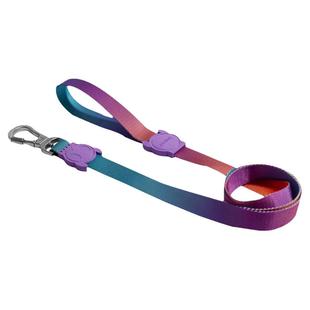 QZee宠物牵引绳zeedog真旋钮锁扣遛狗狗链小中大型犬金毛柯基法斗