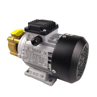 元欣水泵模温机水泵YS-35A-35B-35C-35D-36B-36C油泵涡流泵高温泵