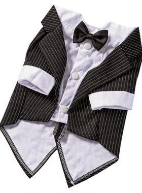 薄款狗狗西装礼服泰迪比熊猫咪西服衬衫宠物小型犬结婚拍照服通用
