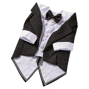 狗狗西装礼服泰迪比熊猫咪西服衬衫宠物小型犬结婚拍照服通用秋冬