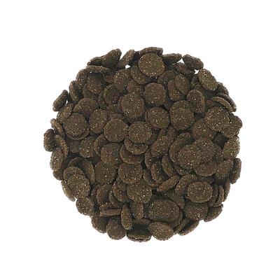 俊妈自制无谷天然猫粮美短500g
