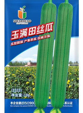 和利农玉满田肉丝瓜种子