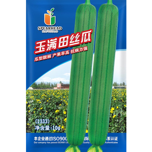 和利农玉满田肉丝瓜种子杂交长棒大丝瓜种籽子农家高产蔬菜孑菜籽