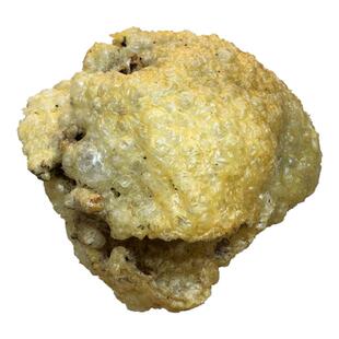 已拔刺盐爆大刺龟鱼皮海胆皮刺鲍鱼刺豚爆鱼皮煲汤料食材北海干货