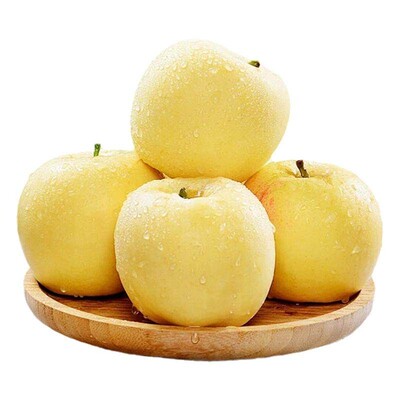 正宗维纳斯山姆供应商假一罚十