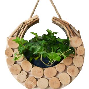 创意壁挂花盆绿植墙上插花瓶高级感墙面装饰轻奢客厅餐厅挂件盆栽