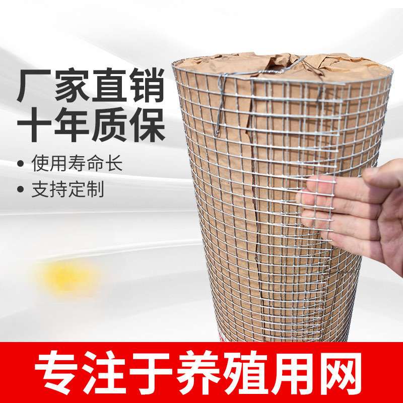 铁丝网围栏热镀锌电焊网片网格养殖网防护网圈地荷兰网钢丝围栏网