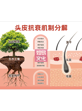 头发抗衰机制分解亚克力展示牌
