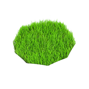 优质红三叶草种子白三叶草种子多年生种籽果园林绿化阳台庭院护坡